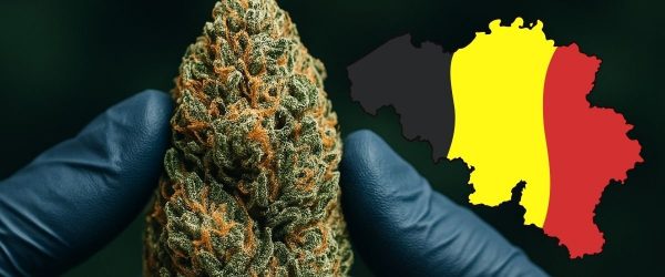 Achat CBD Belgique