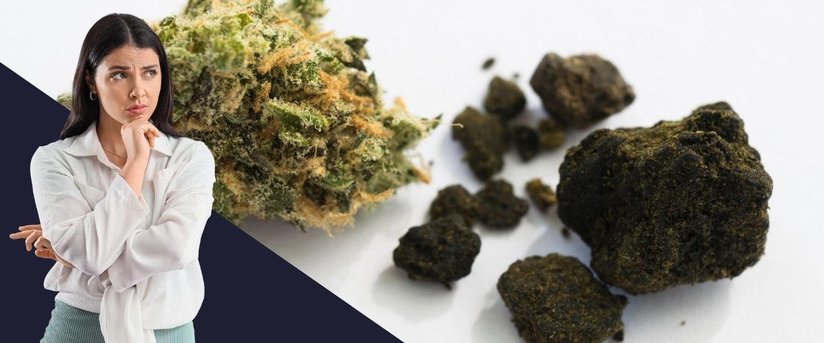 Hash CBD vs Fleur CBD : quelle diff&eacute;rence et comment choisir ?
