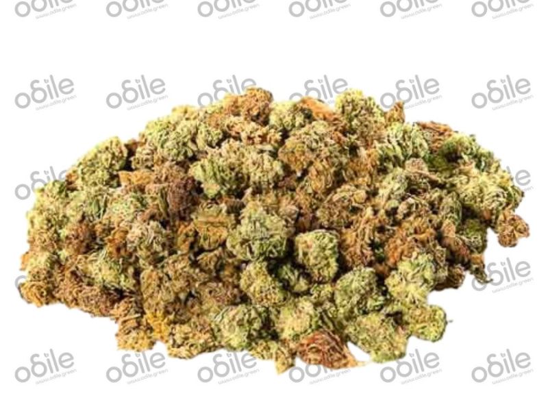Mini Buds CBD Odile.green &mdash; Alternative naturelle au tabac, livraison en Belgique
