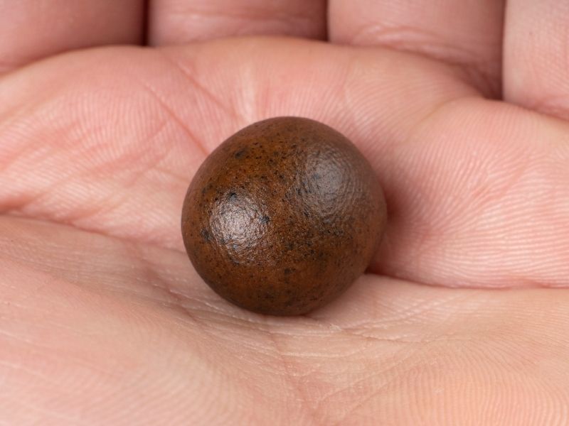 Comparaison fleur CBD et hash CBD - Odile.green