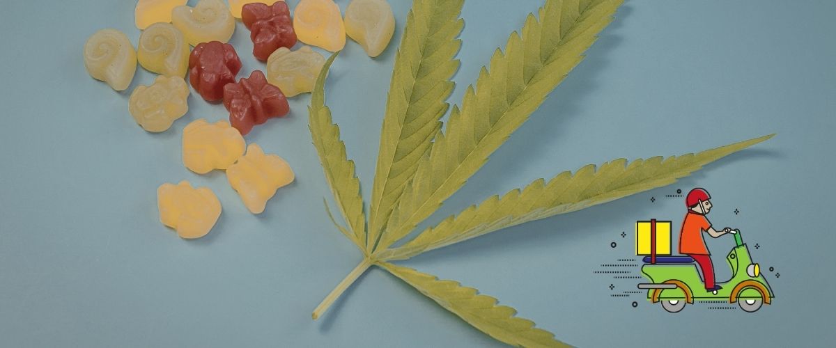 Conseils d'achat CBD