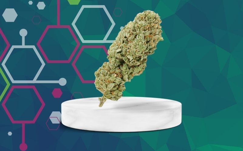 Fleurs de CBD Premium